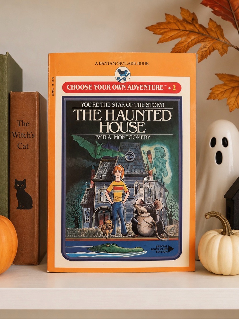 🎟️ ADD-ON VTG 1981 Choose Your Own Adventure: The Haunted House